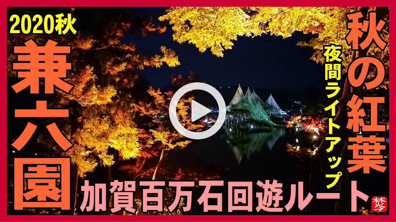 【兼六園ライトアップ秋の段】雪吊り・紅葉の兼六園,と金沢城・鼠多門・玉泉丸院庭園の加賀百万石回遊ルートの散策ガイドライブvlog