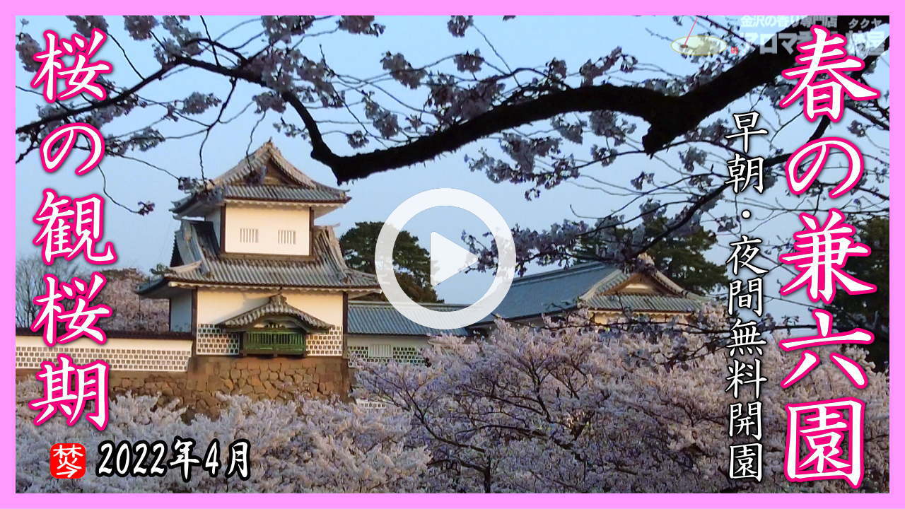 (見る花見)2022年度春・兼六園の無料開放&ライトアップ花見