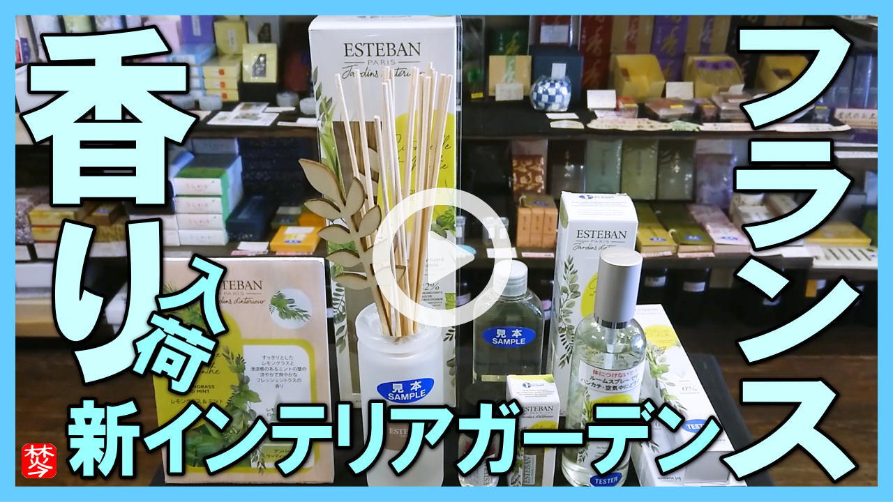 ★Youtube登録★【フランスの爽やかな香り】インテリアガーデンナチュール入荷