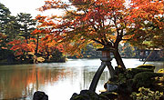 兼六園　観光　スポット