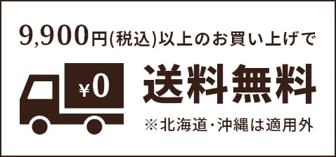 9,900円以上のお買い上げで送料無料