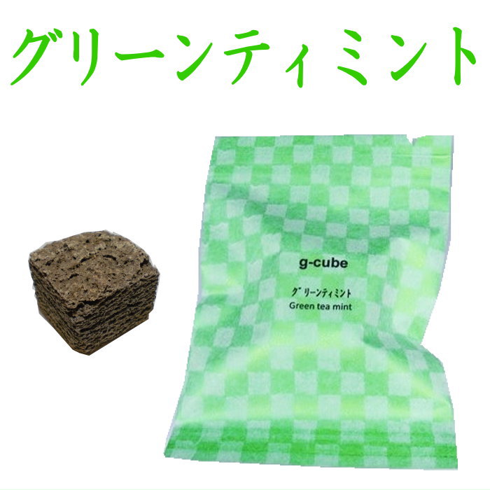 伝統工芸九谷焼 G-CUBE 香箱 グリーンティミント