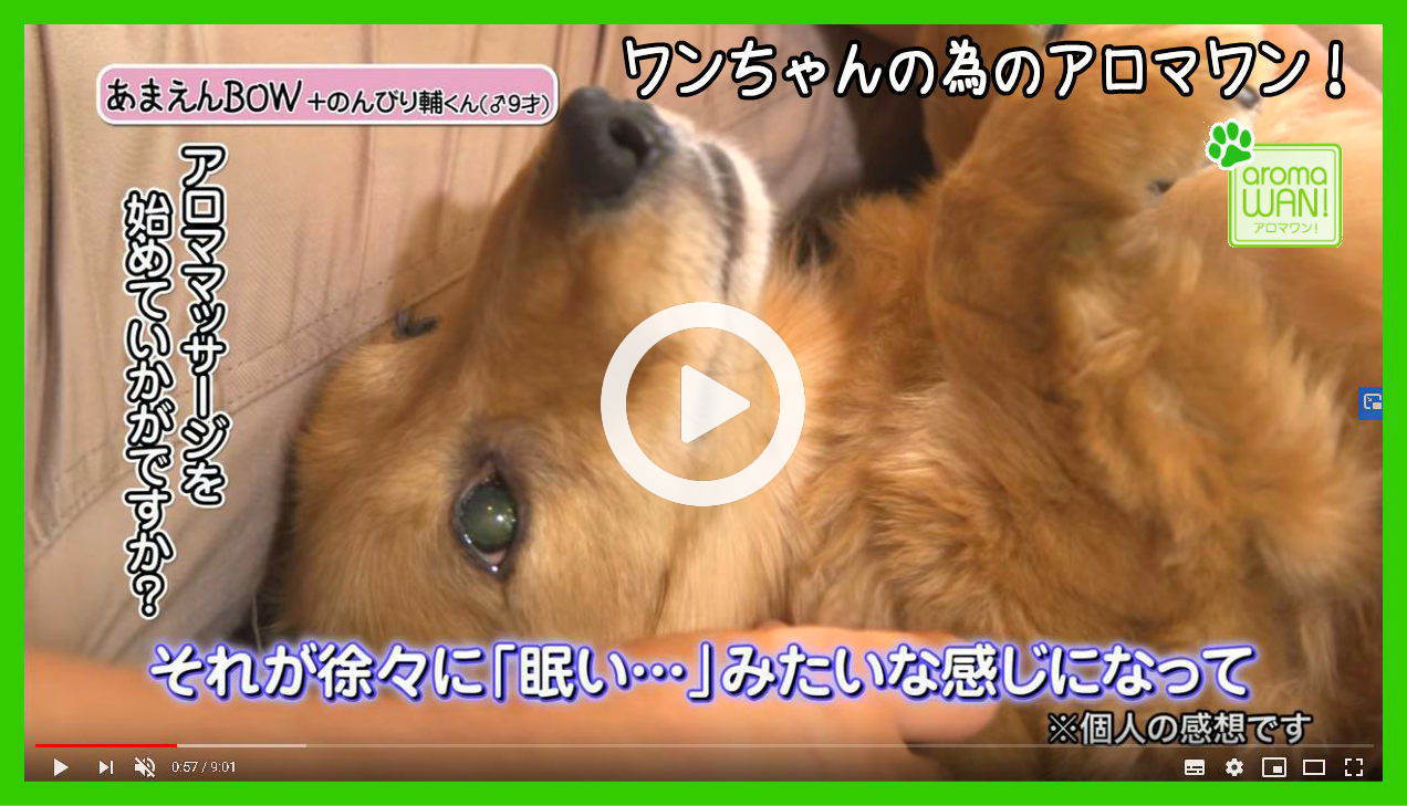 アロマワン 犬用アロマ