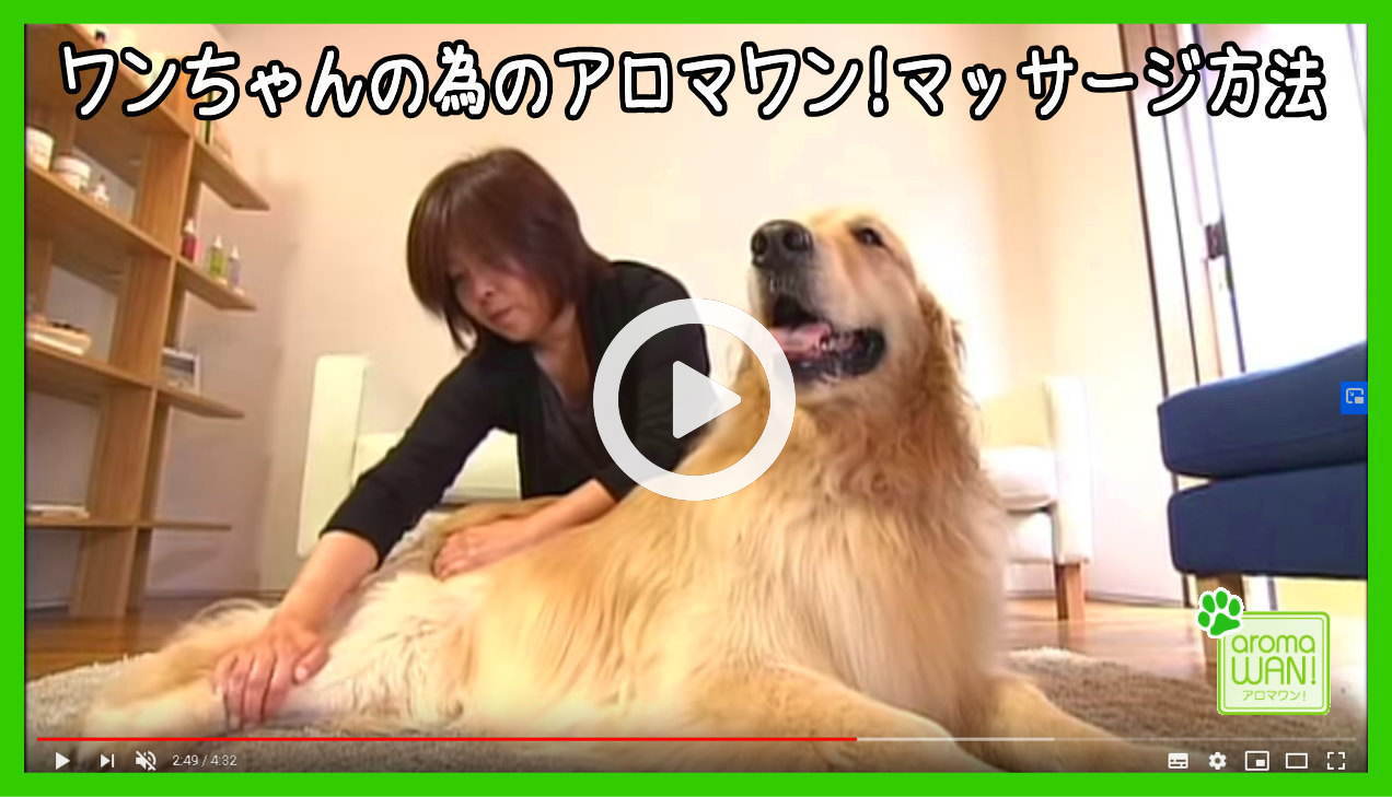マッサージ方法 アロマワン 犬用