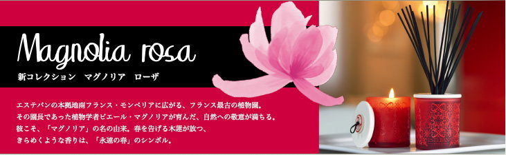 Magnolia Rosa マグノリア　ローザ